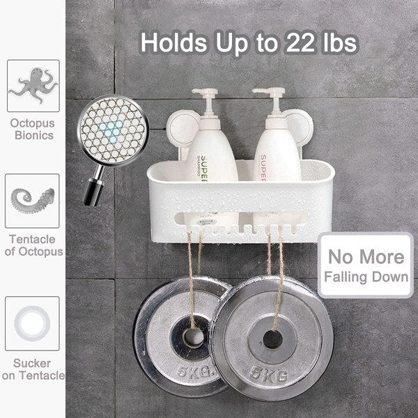 Rebrilliant Madeson Suction Shower Basket Wayfair